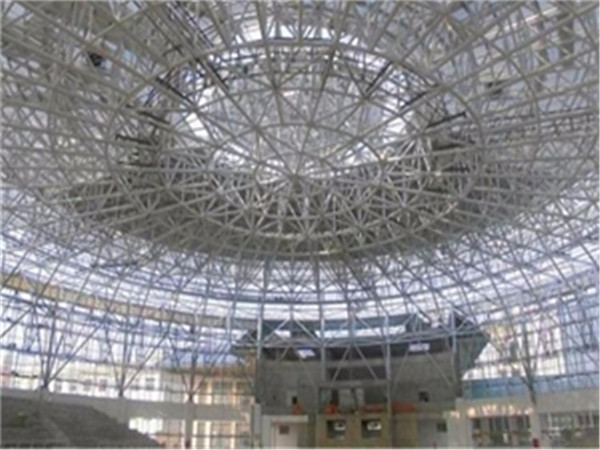 启东仓储物流网架生产厂家案例